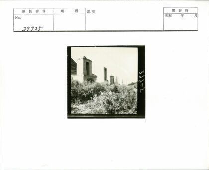 古老石砌建筑与茂密植被景观.jpg