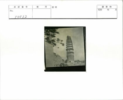 古老砖塔与石墙树林景观.jpg