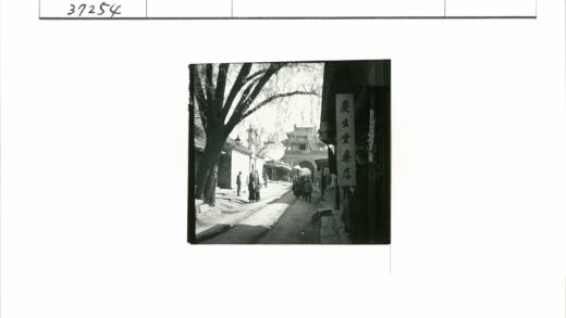 古门树影下的繁华街景.jpg