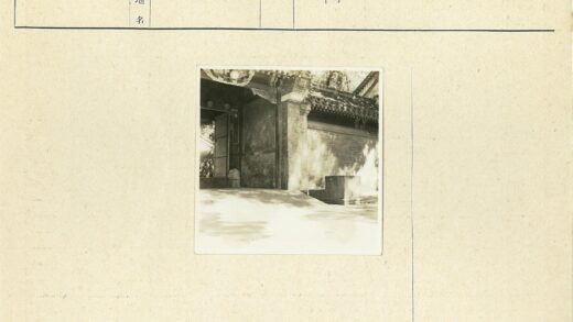 古门石基与树影.jpg