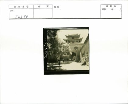 古门阳光树影街景.jpg