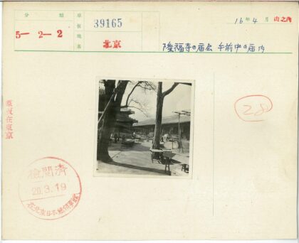 古院树影下闲步桌旁.jpg