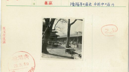 古院树影下闲步桌旁.jpg