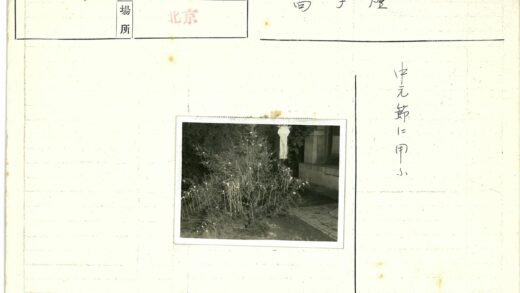古韵灯笼石径夜景.jpg