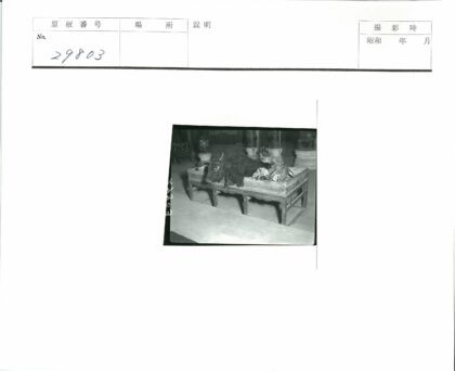 史前动物标本与石器陶器展示.jpg