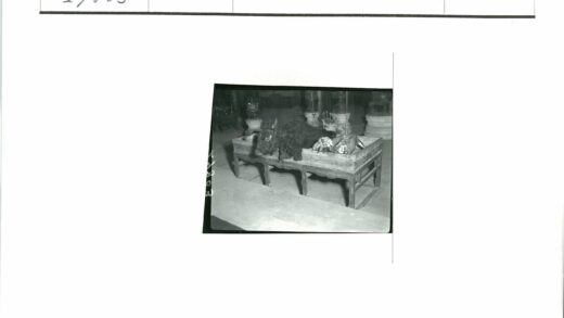 史前动物标本与石器陶器展示.jpg