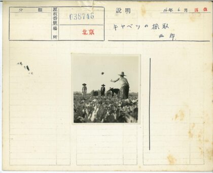 四人戴宽檐帽田间劳作.jpg