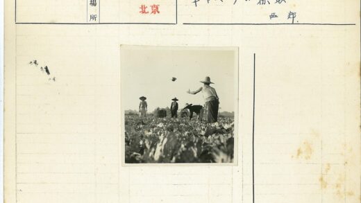 四人戴宽檐帽田间劳作.jpg