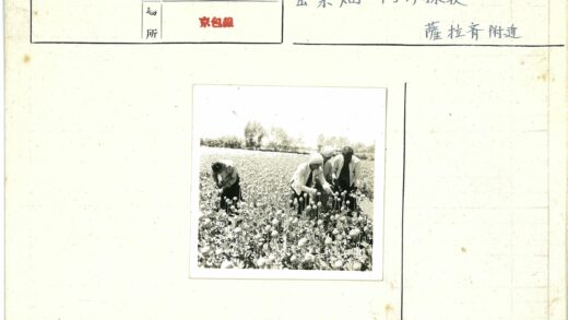 四人树林劳作工作照.jpg