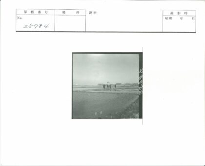 四人涉水走向古老建筑.jpg