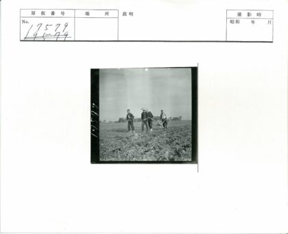 四人田野犁地劳作.jpg
