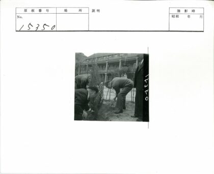 团队户外花园植树高楼背景.jpg