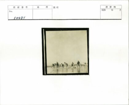 团队水上劳动工作场景.jpg