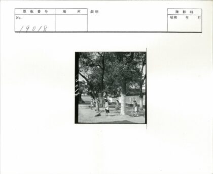 团队清扫落叶的院子.jpg