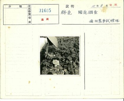 园丁照料标志旁植物.jpg