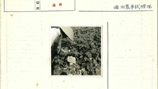 园丁照料标志旁植物.jpg