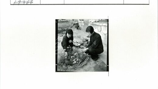 园艺女性照料花园盆栽.jpg