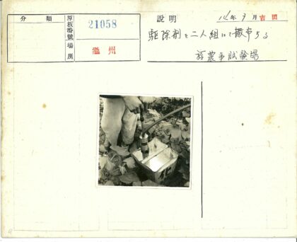 园艺工人使用液体泵浇灌植物.jpg