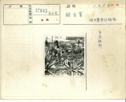 园艺工人在植物园劳作.jpg