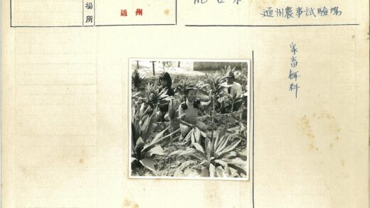 园艺工人在植物园劳作.jpg