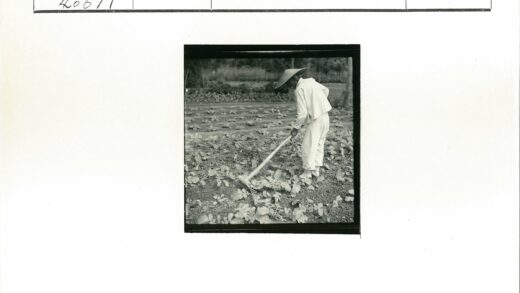 园艺工人照料菜园植物.jpg