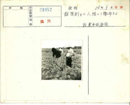 园艺工作者照料植物田间劳作.jpg