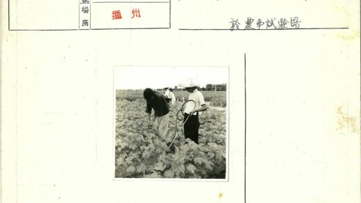园艺工作者照料植物田间劳作.jpg