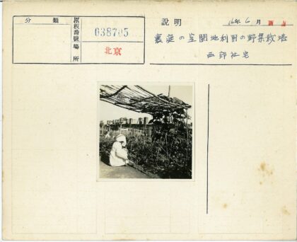 园艺师照料木棚植物.jpg