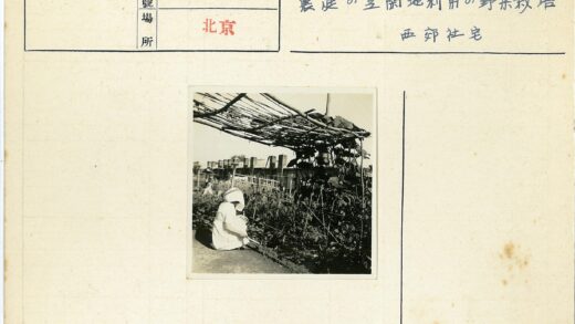 园艺师照料木棚植物.jpg