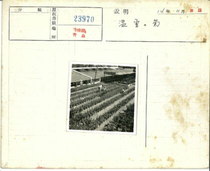 园艺师照料高楼前盆栽.jpg