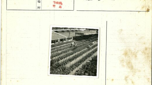 园艺师照料高楼前盆栽.jpg