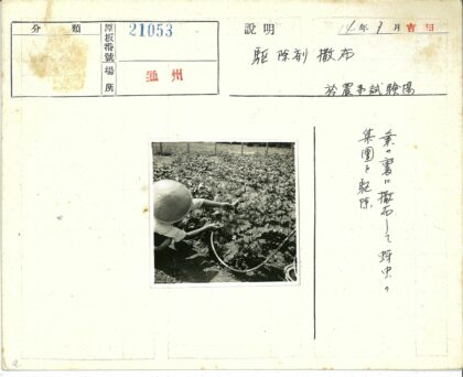 园艺师用软管浇灌花园植物.jpg