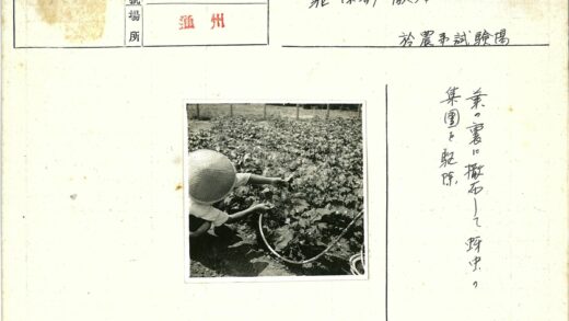 园艺师用软管浇灌花园植物.jpg