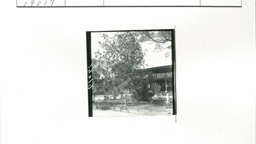 园艺活动与带顶棚门廊建筑.jpg