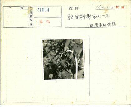 园艺爱好者户外浇花.jpg