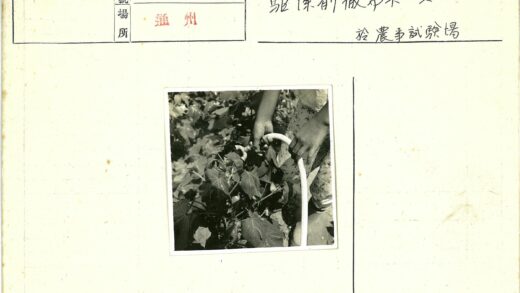 园艺爱好者户外浇花.jpg