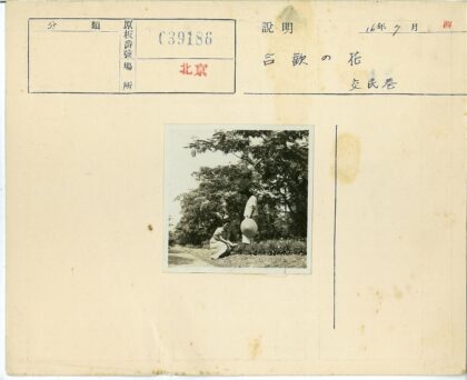 园艺爱好者照料花园植物.jpg