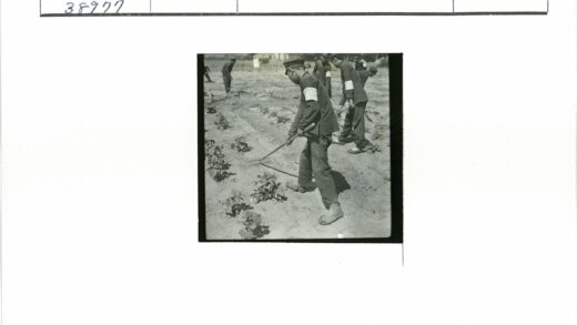 园艺爱好者花园锄地照料植物.jpg