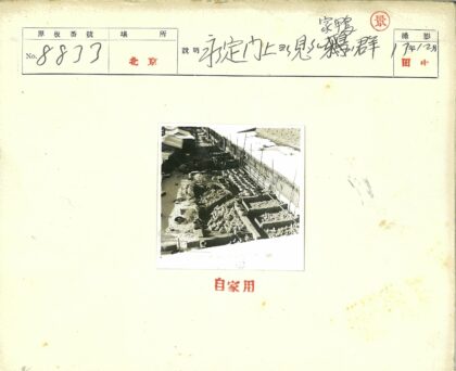 围栏鸭群与圆形容器农场景观.jpg