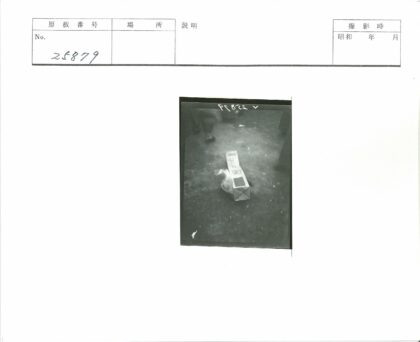 围观盒中鸟的人群.jpg