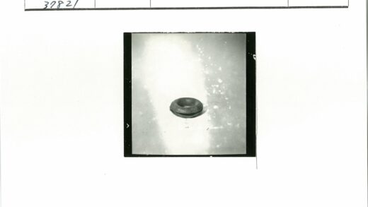 圆形物体特写照片.jpg