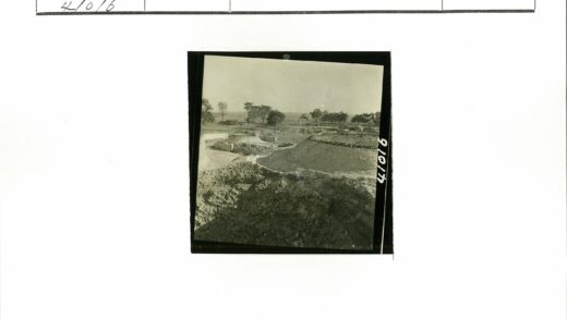 土堆建筑与树林景观.jpg