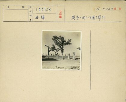 土路三树石柱晴空.jpg