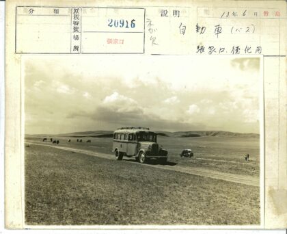 土路行驶的公共汽车与田野牛群.jpg