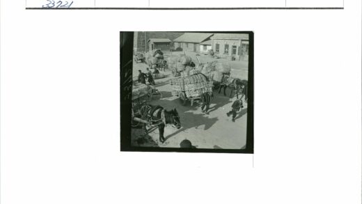 土路马车与行人运输场景.jpg
