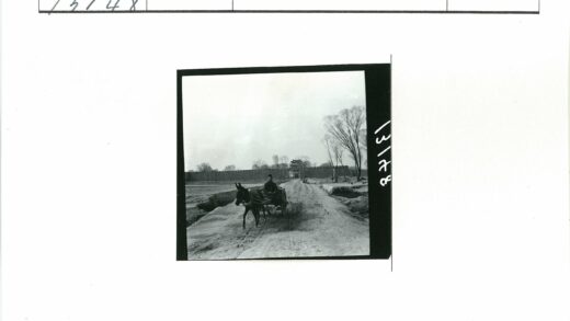 土路驴车与高墙树木.jpg