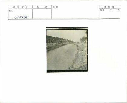 城墙河流与岸边的树和狗.jpg