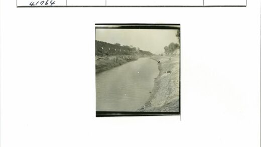 城墙河流与岸边的树和狗.jpg