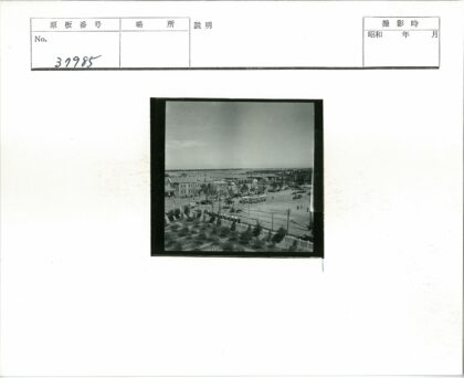 城市广场鸟瞰交通与人群景观.jpg