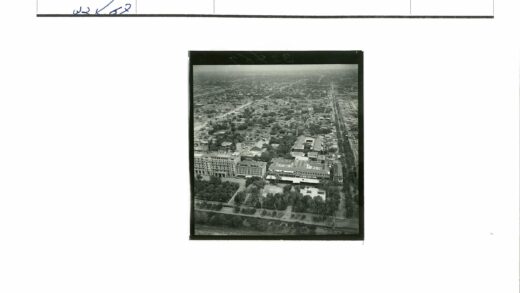 城市鸟瞰景观与绿树街道.jpg